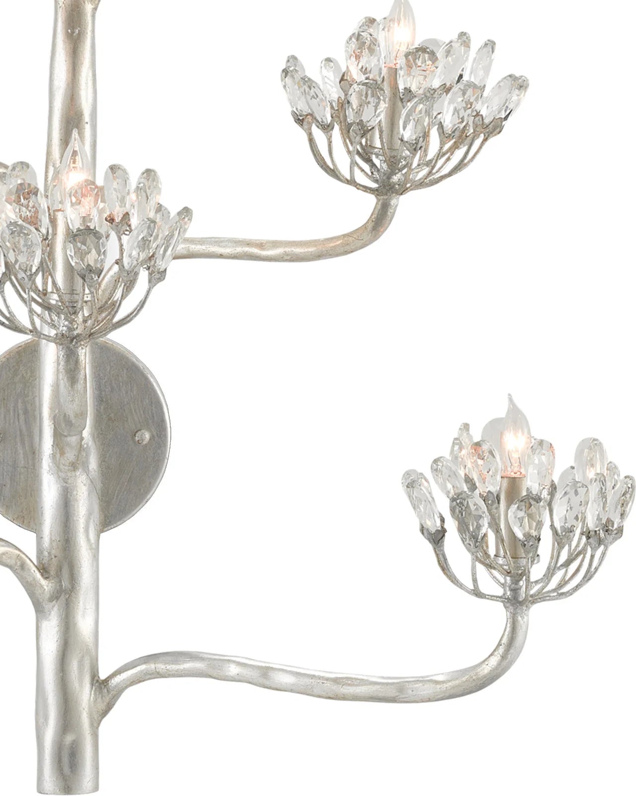 Agave Americana Wall Sconce