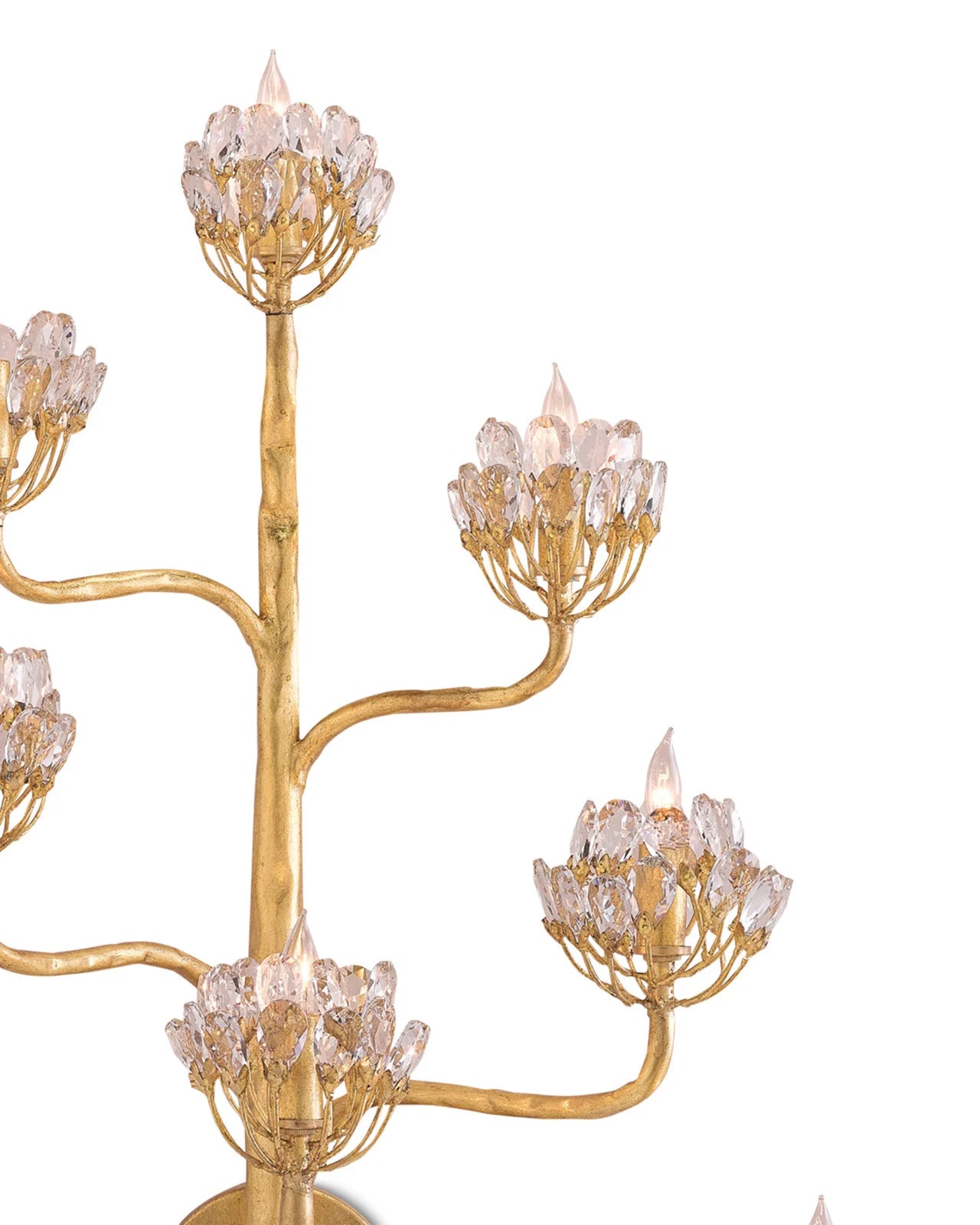 Agave Americana Wall Sconce