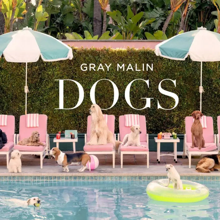 Gray Malin: DOGS