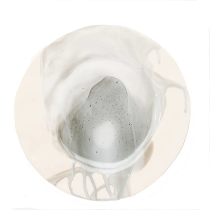 Splash Ceramic Dinner Plate in Grey, Set of 4
