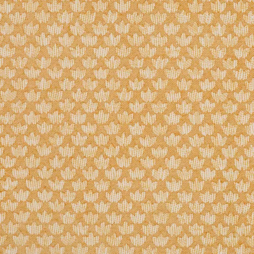 Fermoie Eythorne Fabric