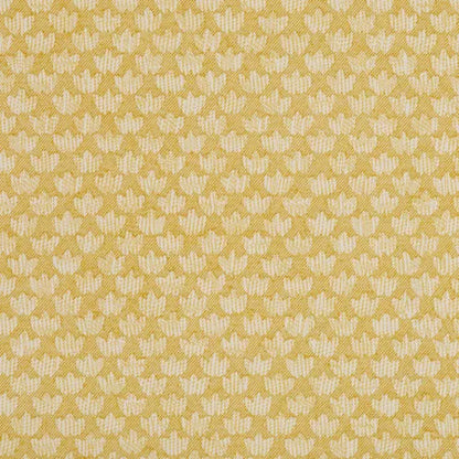 Fermoie Eythorne Fabric