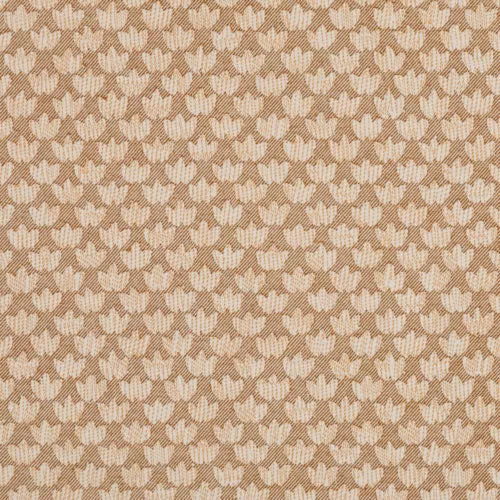 Fermoie Eythorne Fabric